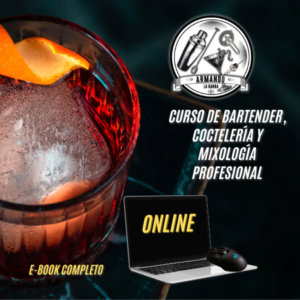 De Basico al Profesional Conviértete en Bartender